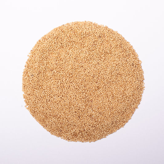 Graines d'amarante rouge