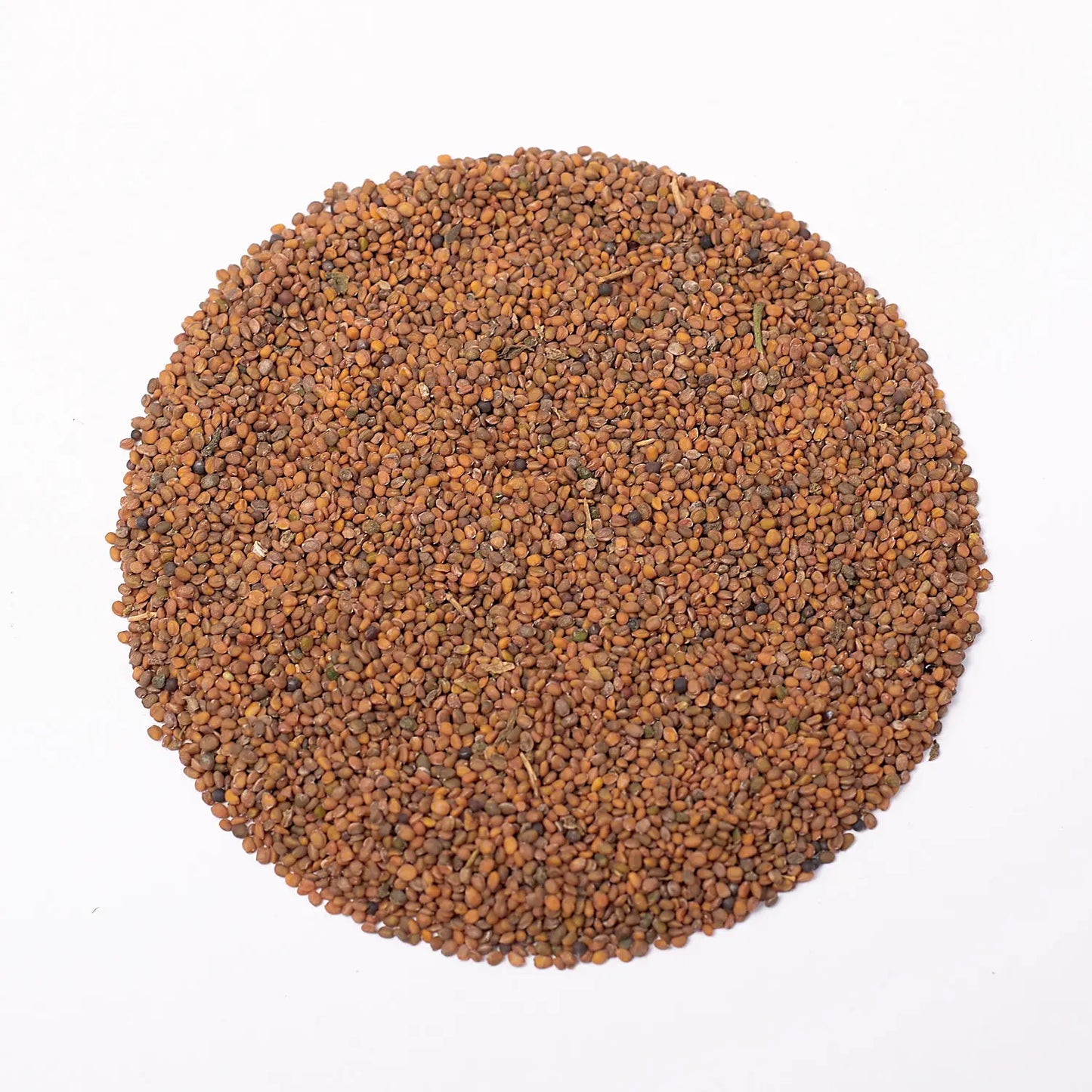 Rucola Microgroenten Zaden