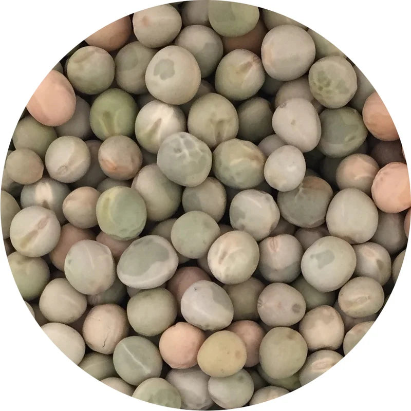Pea Microgreens Seeds