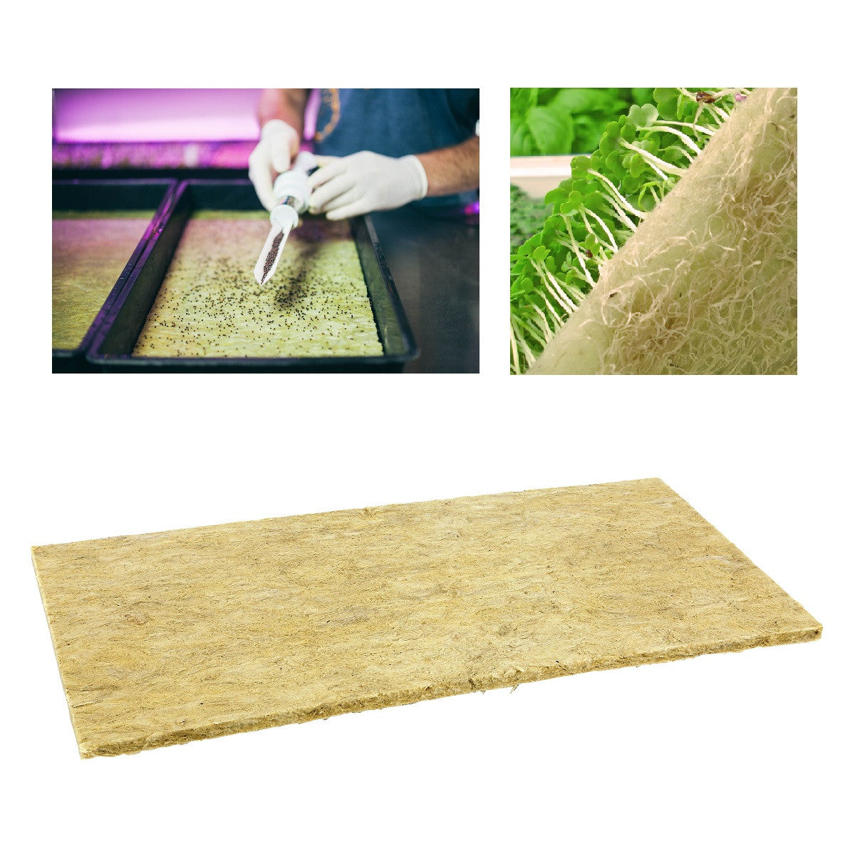 Grodan Kresseteller Microgreens, 49,5x24x1 cm
