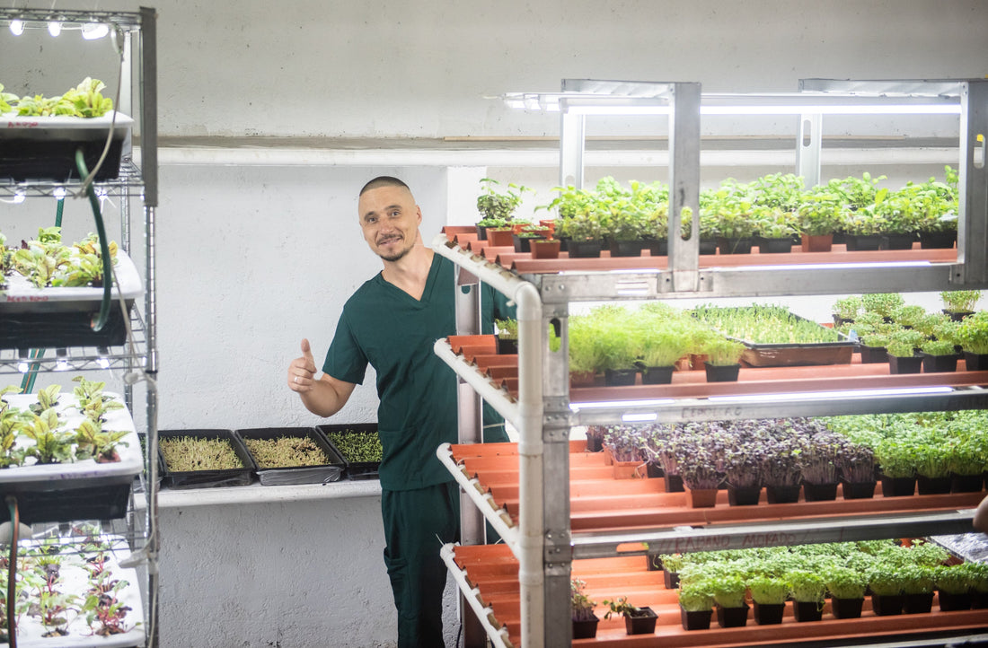 Microgreens Equipment — What You Need to Grow at Home or for Business
