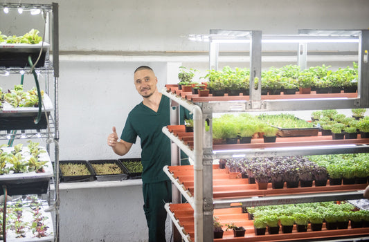Microgreens Equipment — What You Need to Grow at Home or for Business