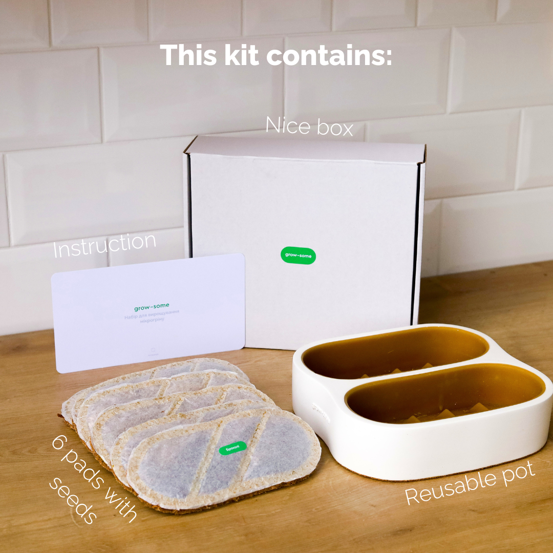 Komplettes Heim Microgreens Starter-Kit