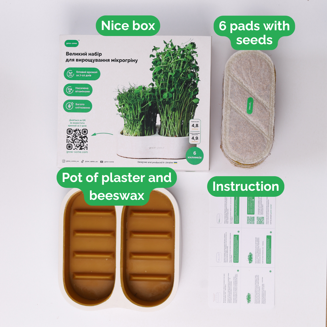 Komplettes Heim Microgreens Starter-Kit