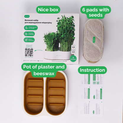 Komplettes Heim Microgreens Starter-Kit