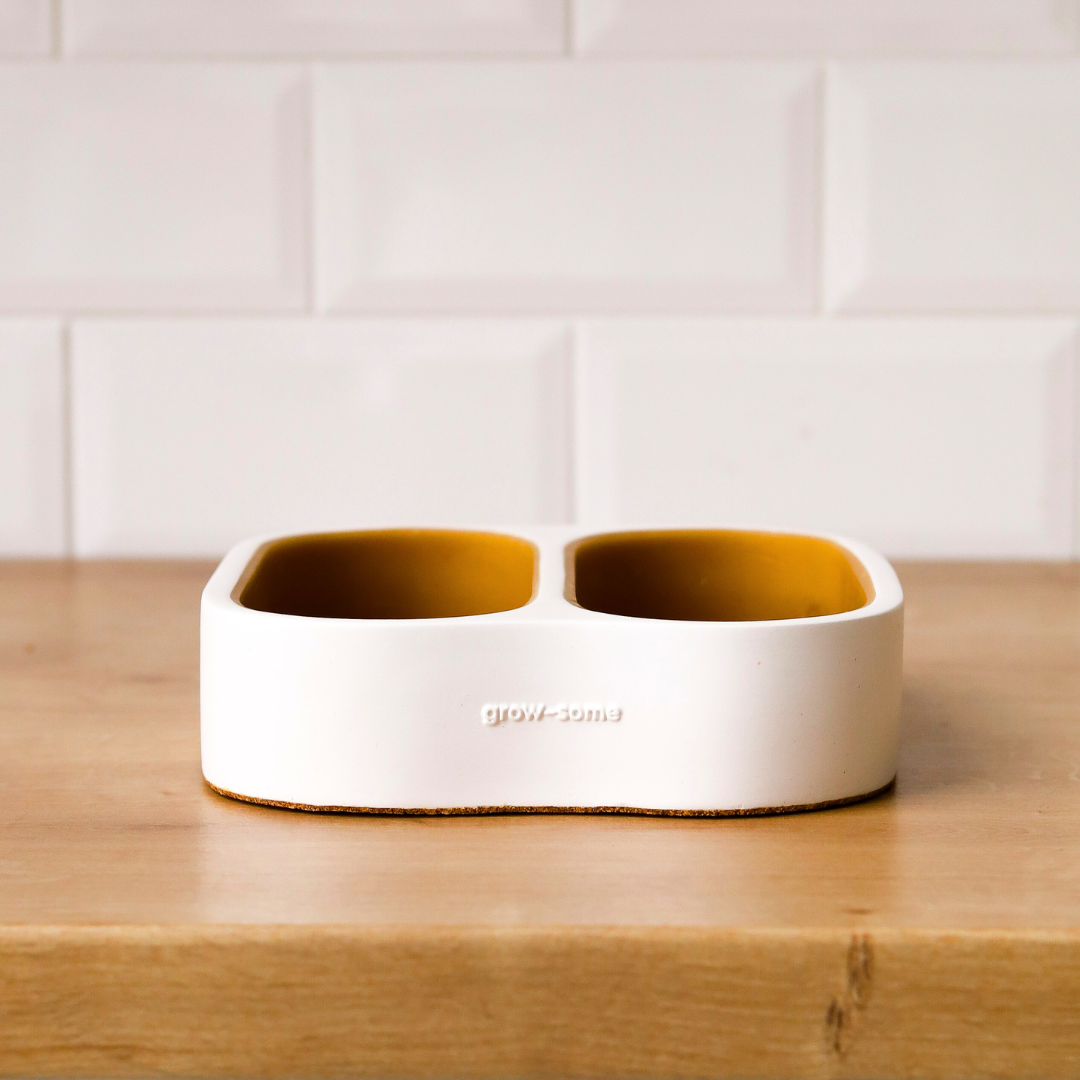 Komplettes Heim Microgreens Starter-Kit