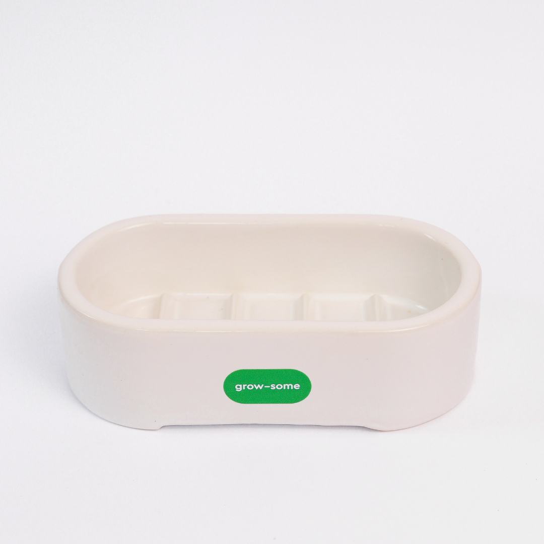 Keramik-Microgreen-Anzuchtset