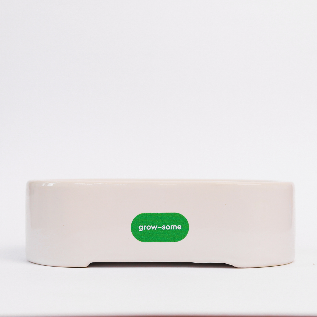 Keramik-Microgreen-Anzuchtset