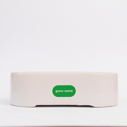 Keramik-Microgreen-Anzuchtset