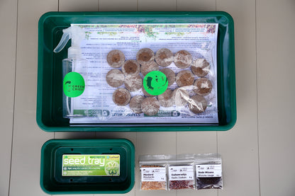 SPICY – Das pikante Microgreens-Set für intensiven Geschmack