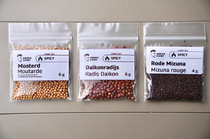 SPICY – Das pikante Microgreens-Set für intensiven Geschmack