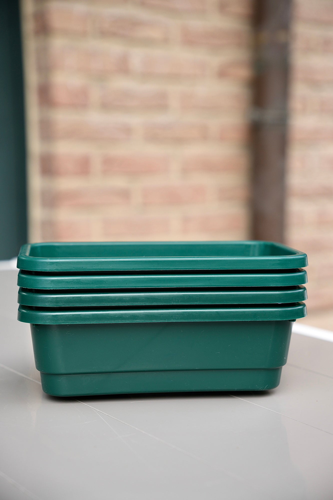 IMMUNE BOOSTER – Microgreens-Set für eine starke Immunabwehr