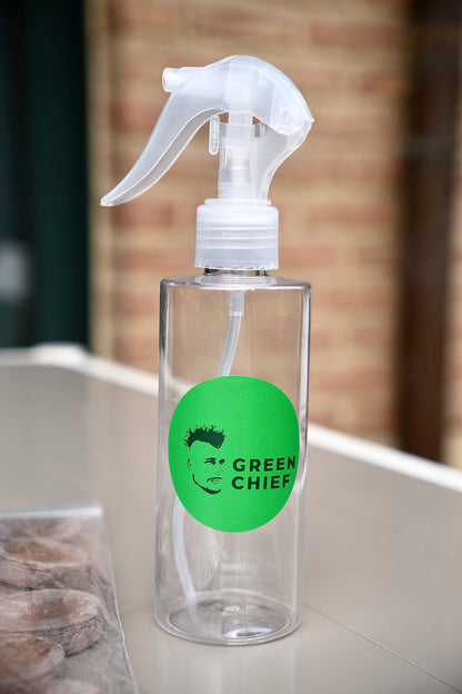 IMMUNE BOOSTER – Microgreens-Set für eine starke Immunabwehr