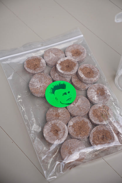 IMMUNE BOOSTER – Microgreens-Set für eine starke Immunabwehr