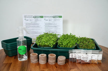 SPICY – Das pikante Microgreens-Set für intensiven Geschmack
