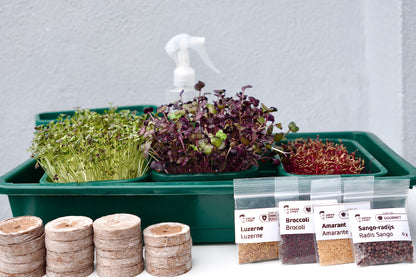 GOURMET – Das Premium-Microgreens-Set für echte Feinschmecker