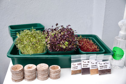 GOURMET – Das Premium-Microgreens-Set für echte Feinschmecker