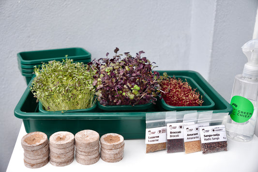 GOURMET – Das Premium-Microgreens-Set für echte Feinschmecker