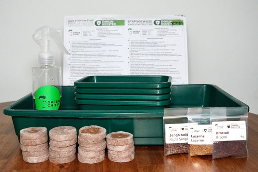 SPICY – Das pikante Microgreens-Set für intensiven Geschmack