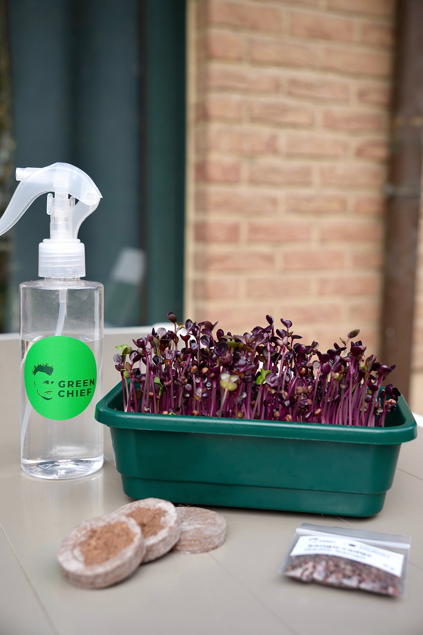 GOURMET – Das Premium-Microgreens-Set für echte Feinschmecker