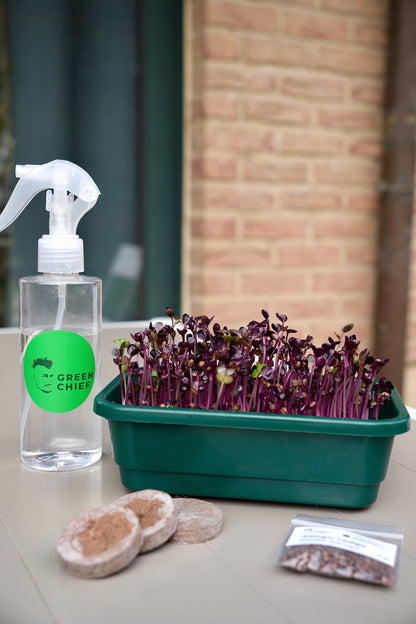 GOURMET – Das Premium-Microgreens-Set für echte Feinschmecker