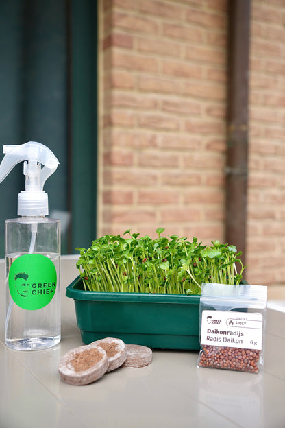 SPICY – Das pikante Microgreens-Set für intensiven Geschmack
