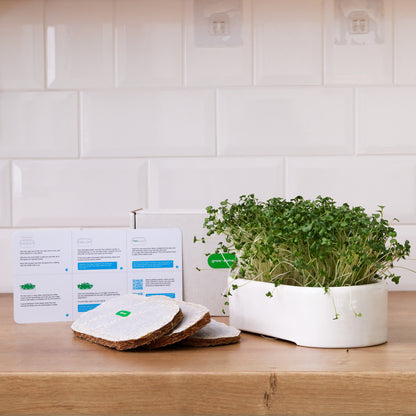 Keramik-Microgreen-Anzuchtset