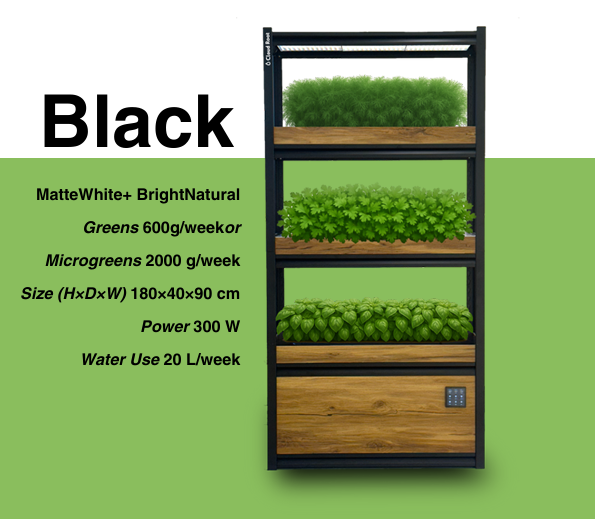 CloudRoot Fogponic Groeisysteem, Zwart