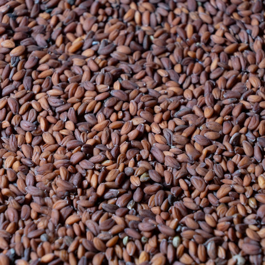 Cress Microgreens Seeds
