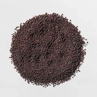 Red Cabbage Microgreens Seeds