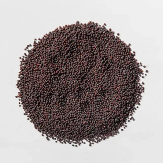 Red Cabbage Microgreens Seeds