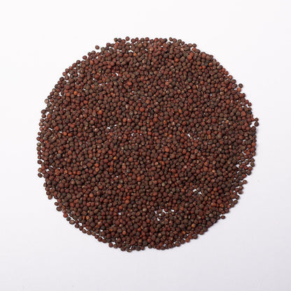 Roter Kohlrabi Samen