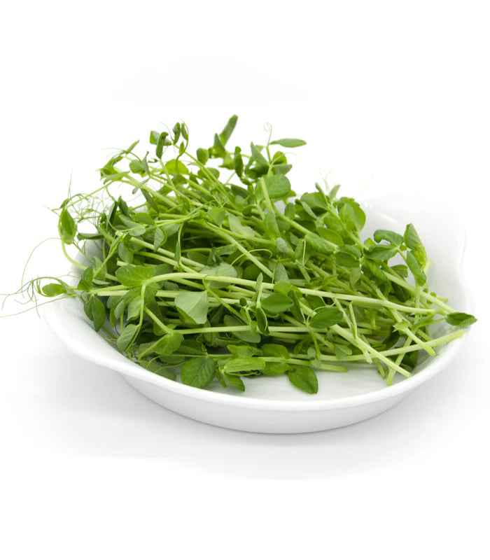 Green-chief.eu