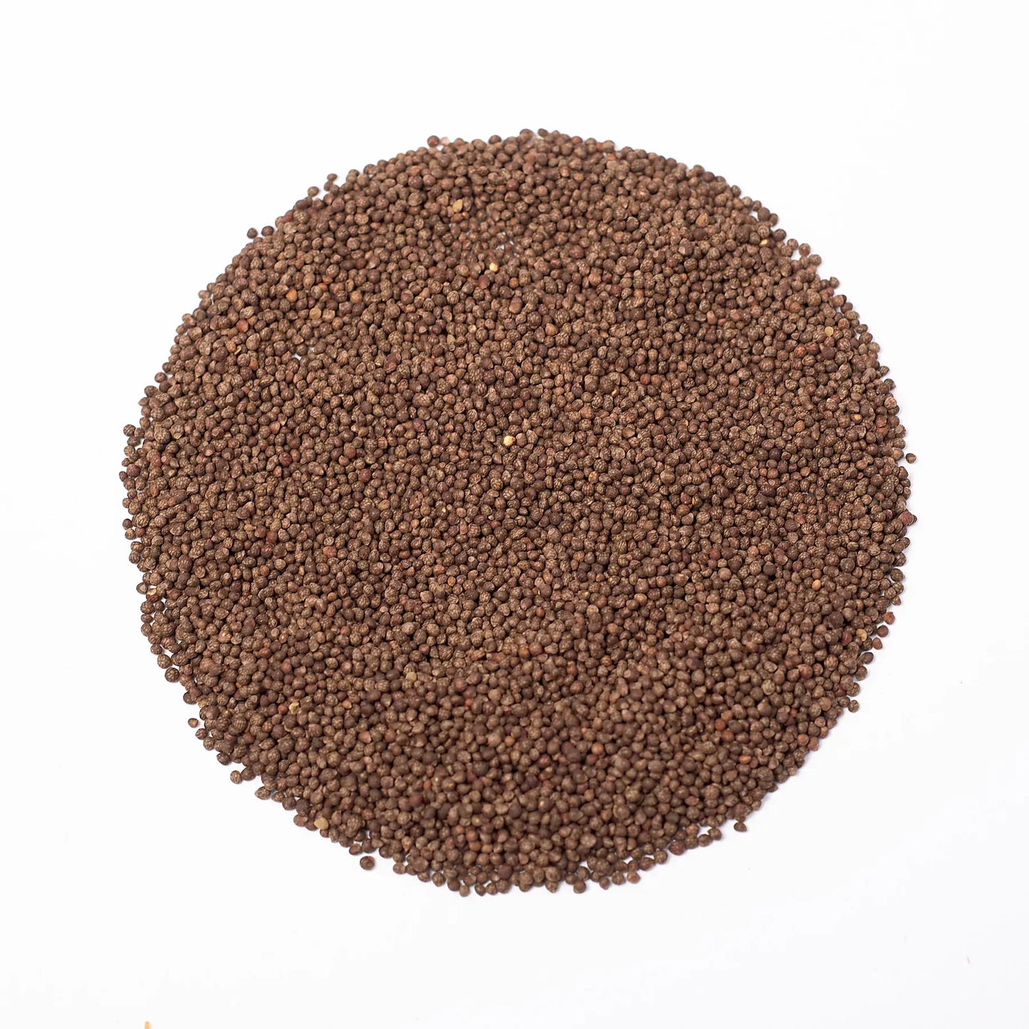 Semillas Microgreens Shiso Verde (Perilla)
