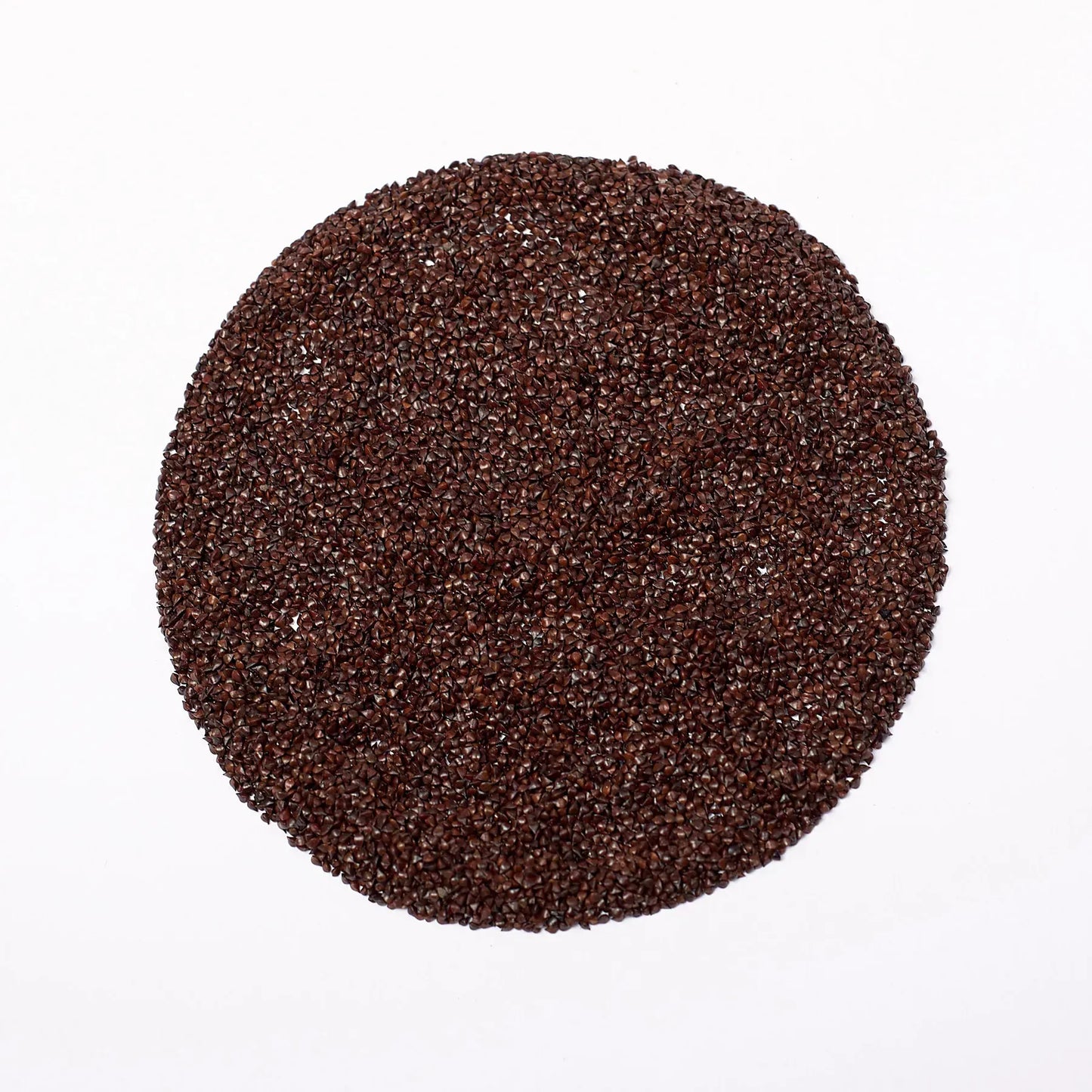 Semillas de Microgreens Acedera Sangrienta
